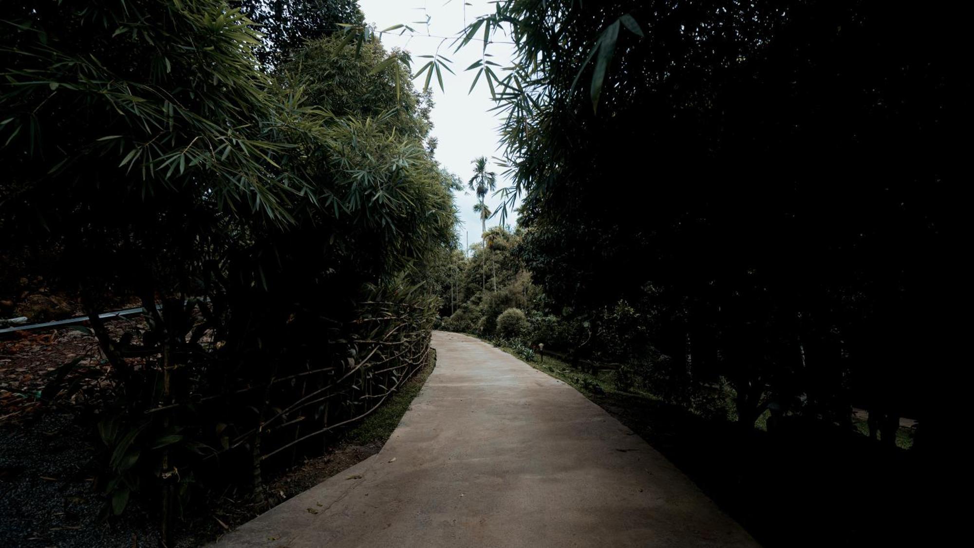 Vythiri Holiday Resort, Wayanad Zewnętrze zdjęcie