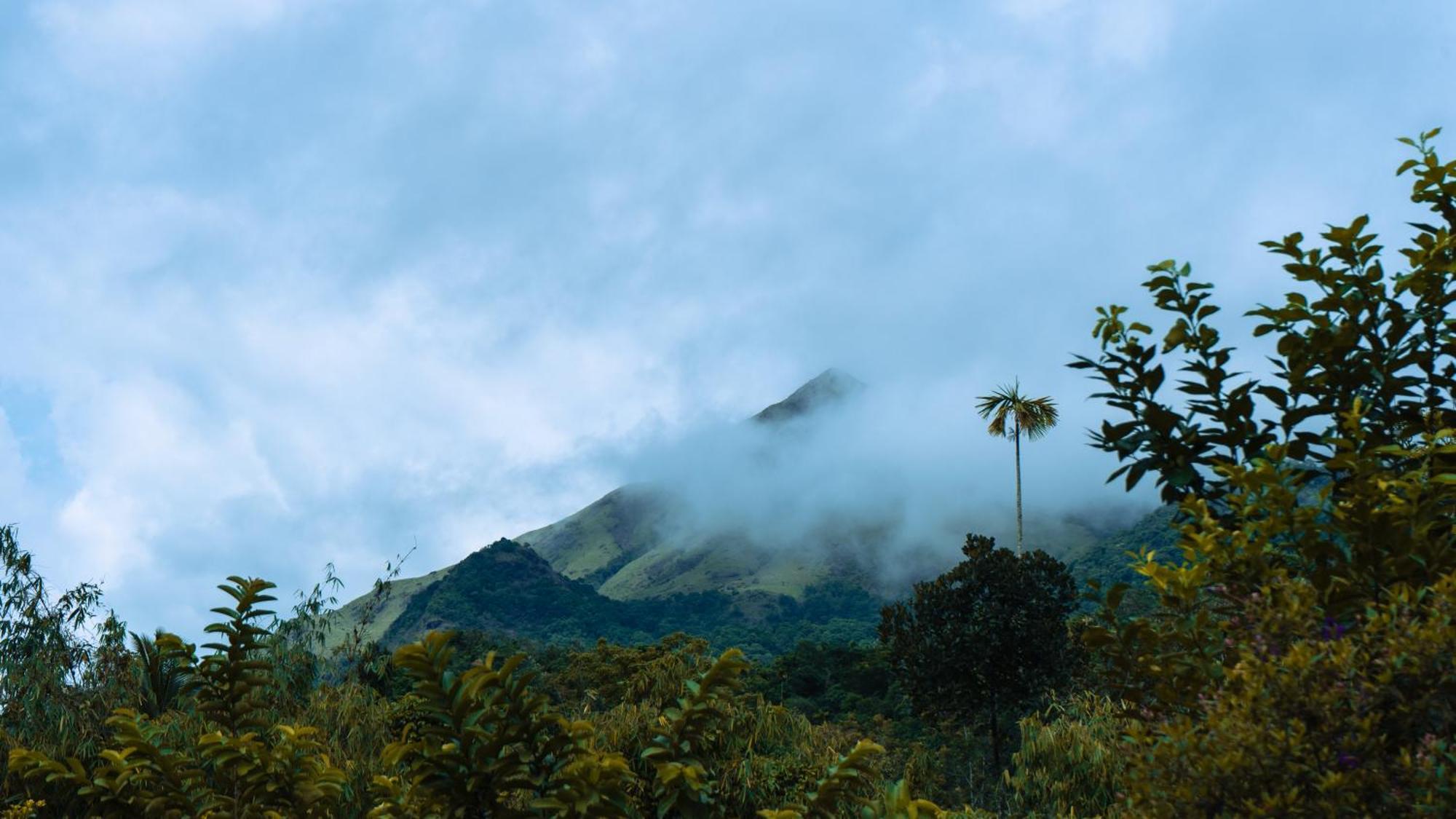 Vythiri Holiday Resort, Wayanad Zewnętrze zdjęcie