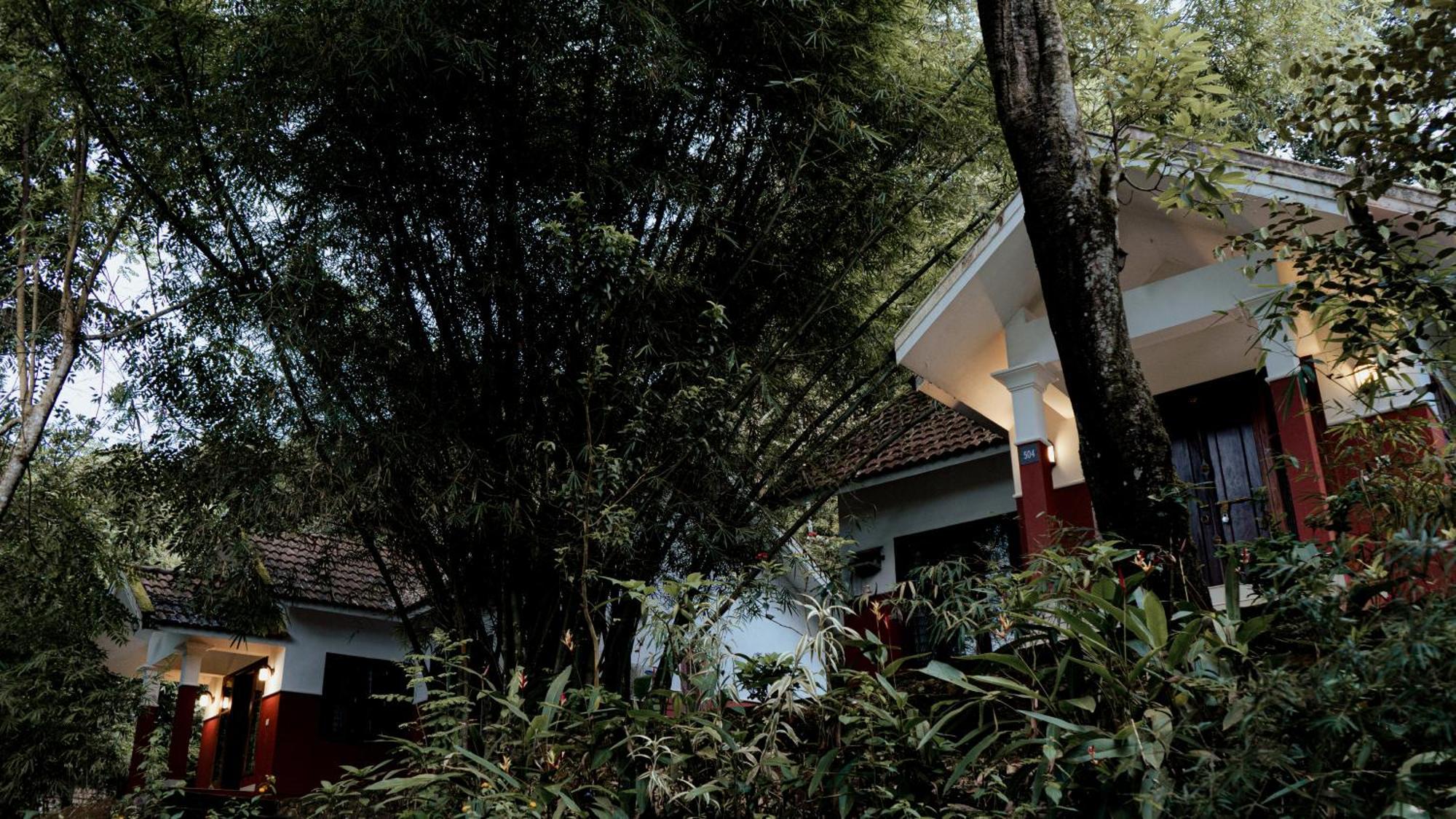 Vythiri Holiday Resort, Wayanad Zewnętrze zdjęcie