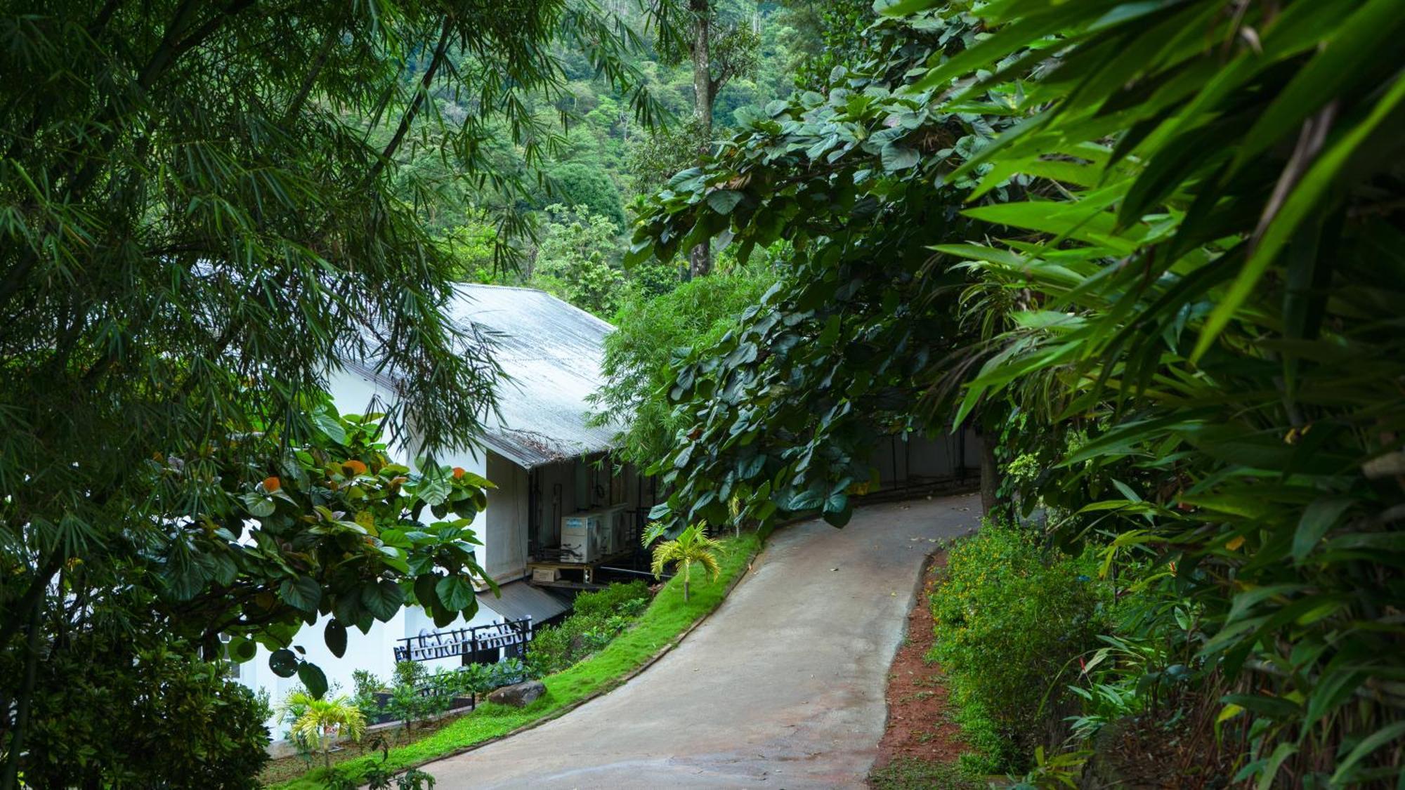 Vythiri Holiday Resort, Wayanad Zewnętrze zdjęcie